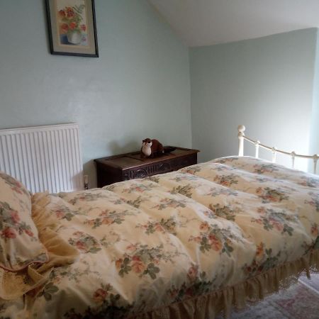 Ty Hen - Quirky Grade II Listed Cottage Blaenau Ffestiniog Exterior foto